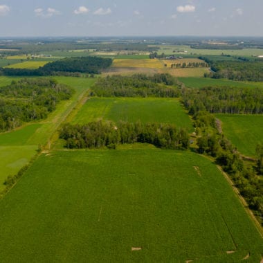 52+ ACRES on HWY 89 in Southgate, ON