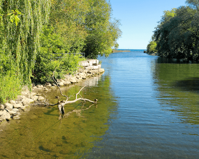 Things to Do in Etobicoke